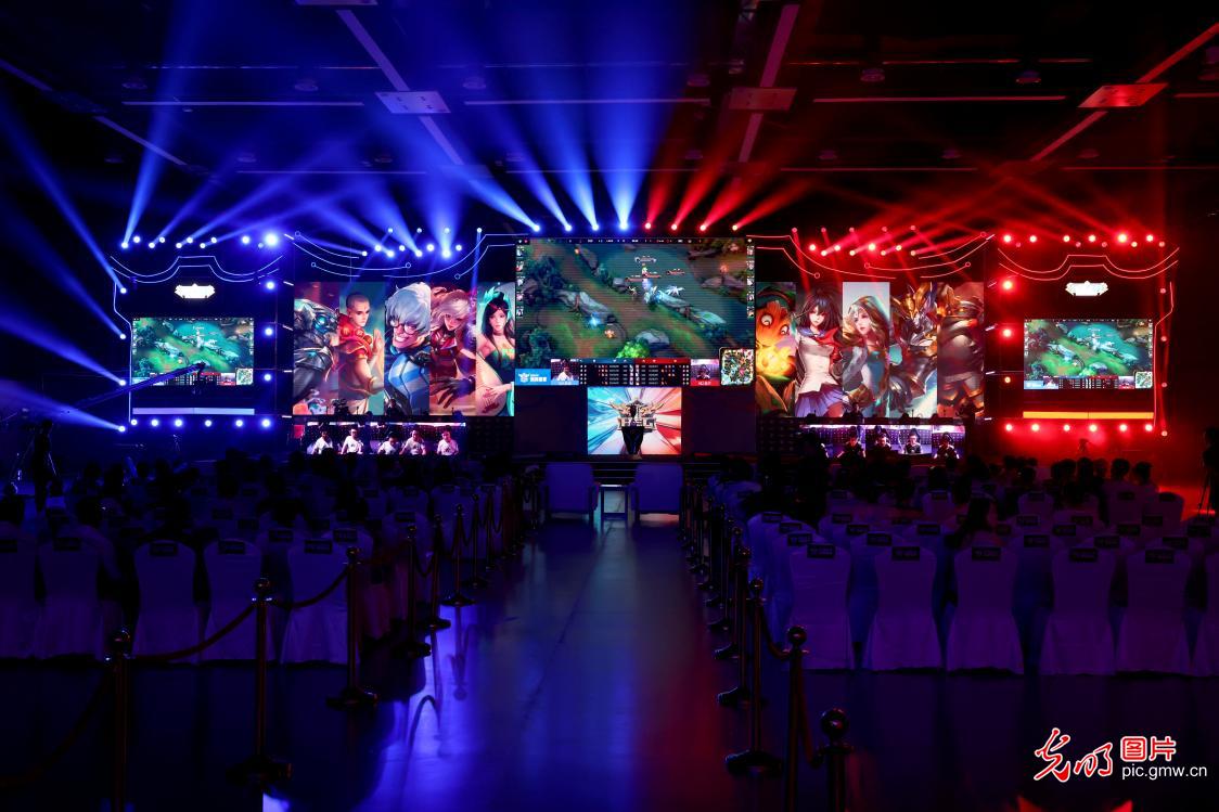 森纳的比赛 森纳的比赛